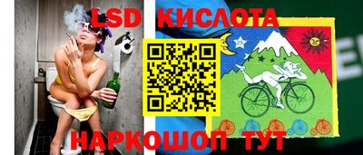 spice Боровичи